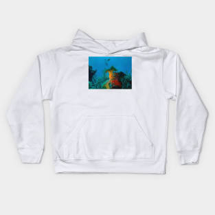 Coral Reef and Scuba Diver Kids Hoodie